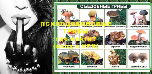 мяу мяу мука Осинники