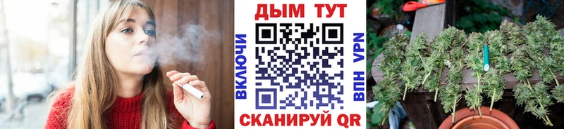 продажа наркотиков  Алагир  Бошки Шишки AK-47 
